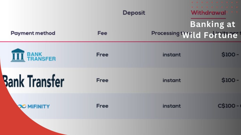 Payment Methods in Wild Fortune Casino